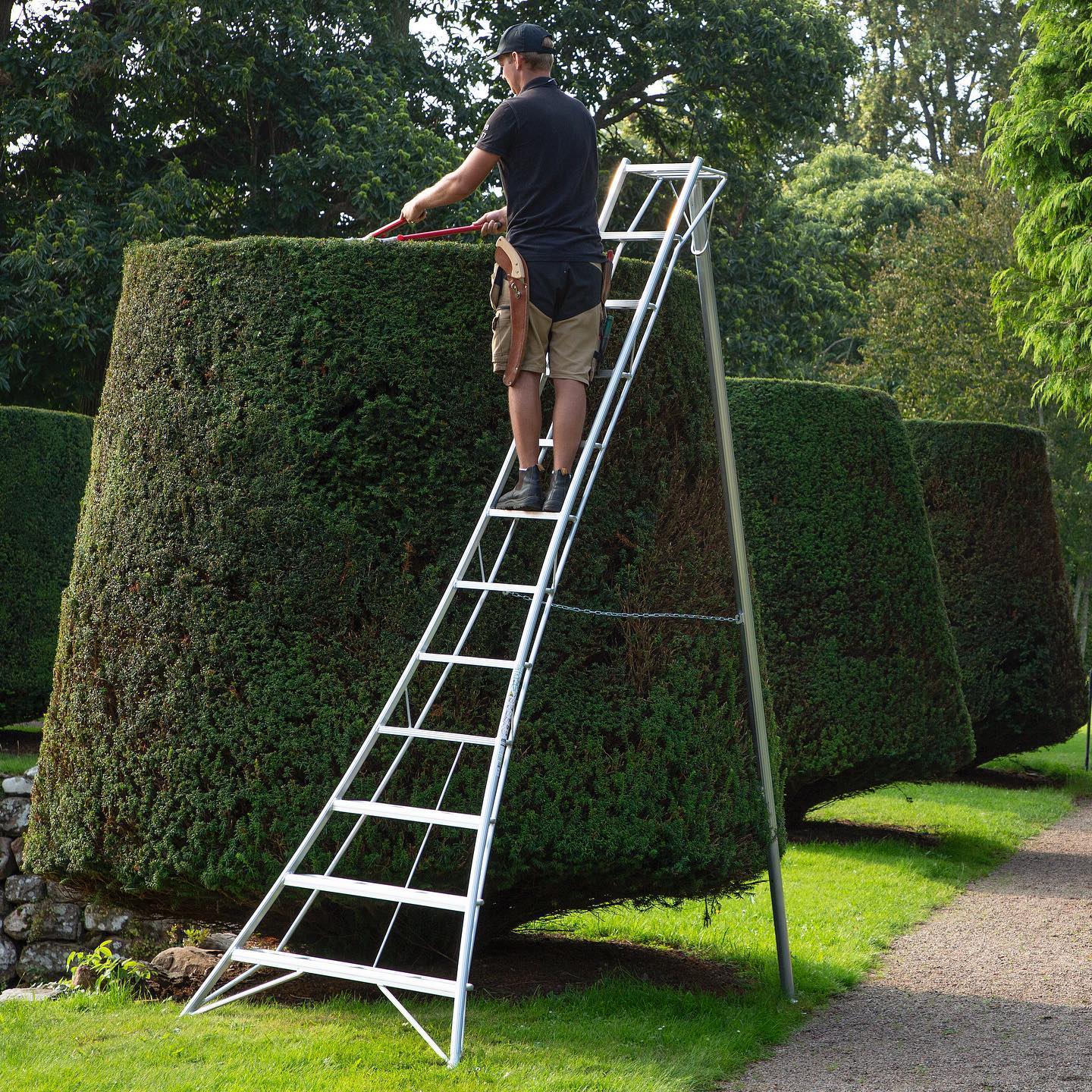 Zaun, Hecke, Gras, Garten, Person