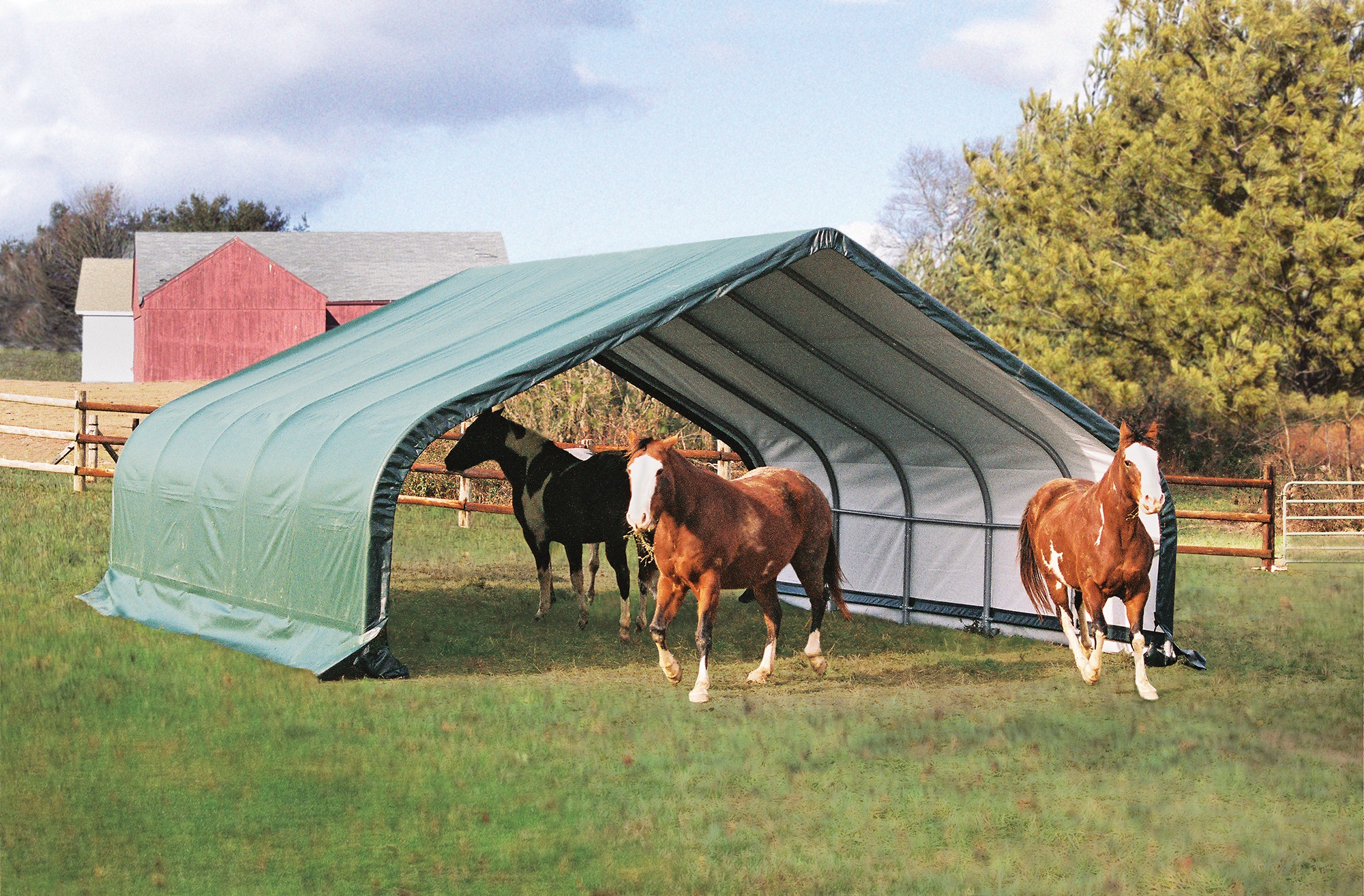 SL58542_03 ShelterLogic Weidezelt Weideunterstand 670 x 610 cm günstig bei HWG-Tec kaufen