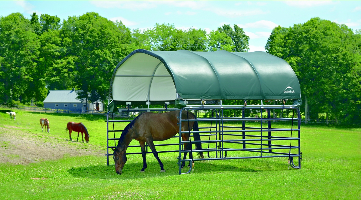 51523_horse2 Weidezelt- und Pferdestallüberdachung ohne Stahlgestell